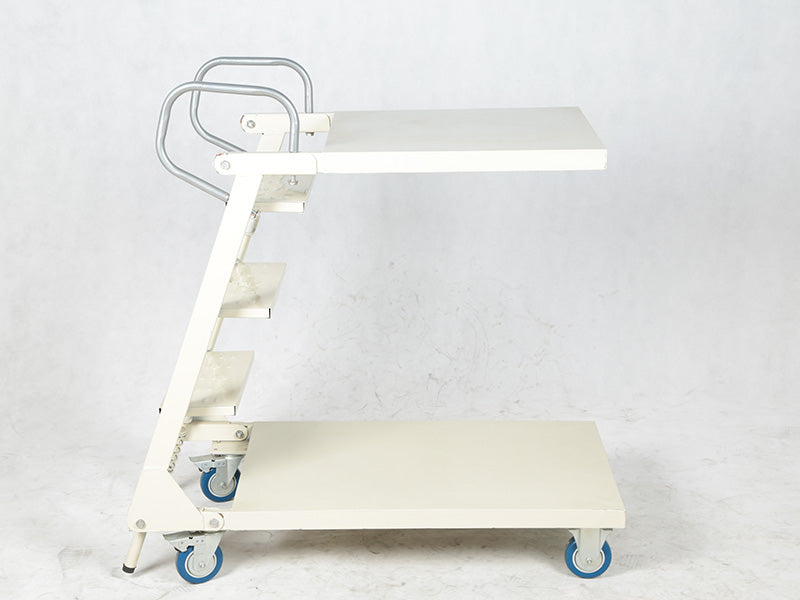 Carro picking  con escalera